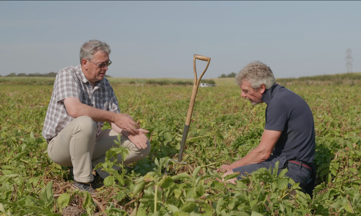 Farmer pic 1200x720