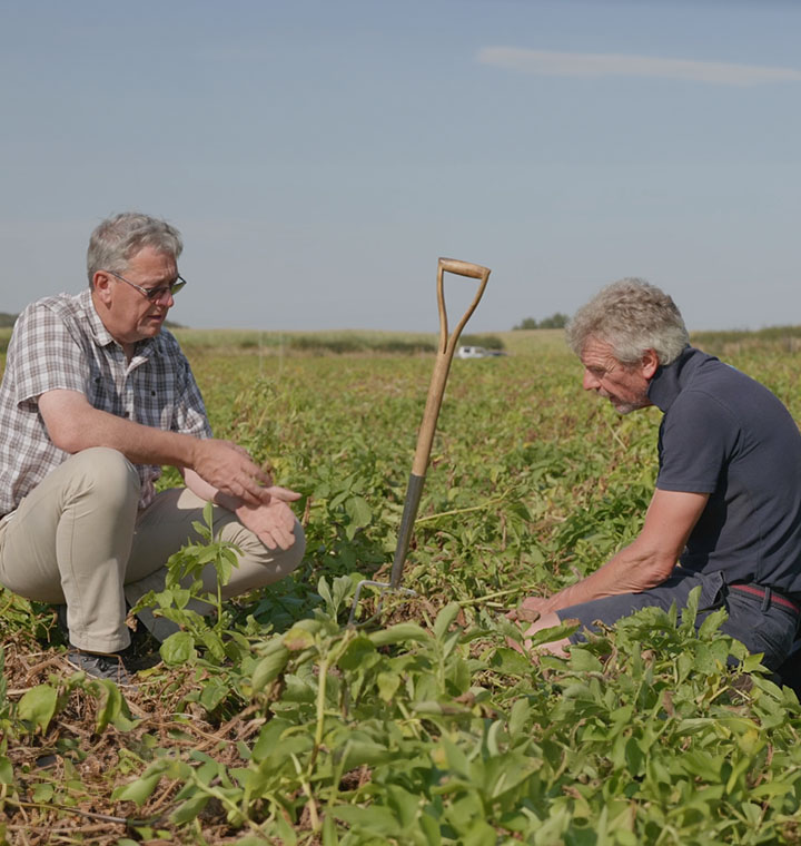 Two people working in a farm field